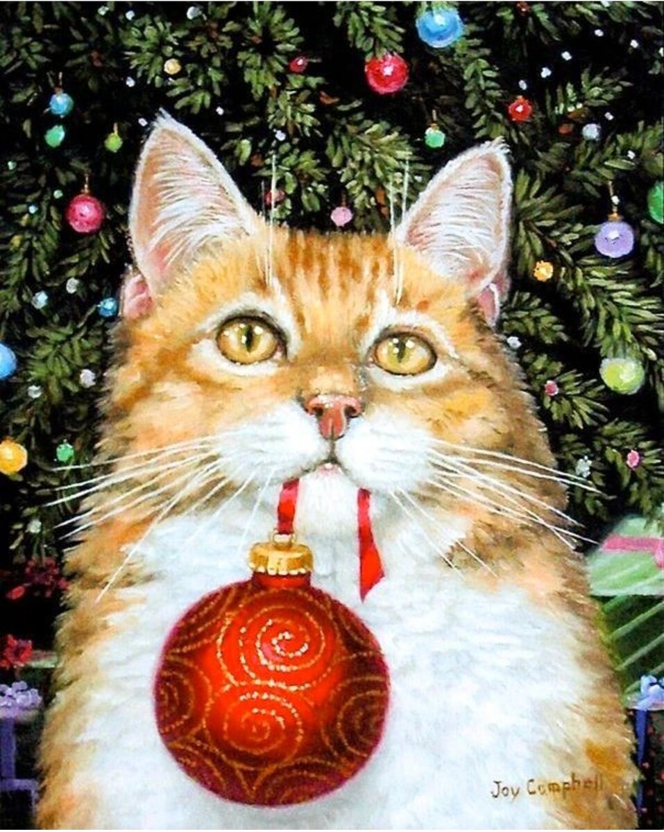 Рождественский кот. Робекка Джой Кэмпбелл. 