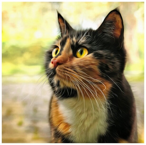 Ко́шка — домашнее животное, одно из наиболее популярных «животных-компаньонов».