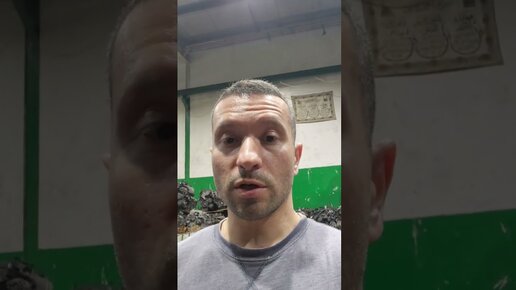 Ооо ходос авто