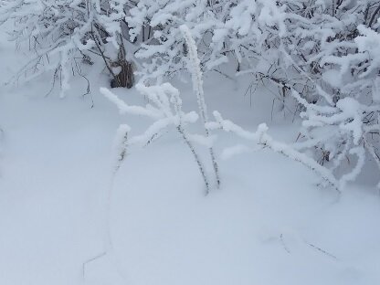 Фото из личного архива автора