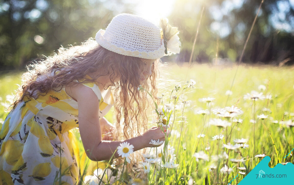 Источник: https://7hands.com/