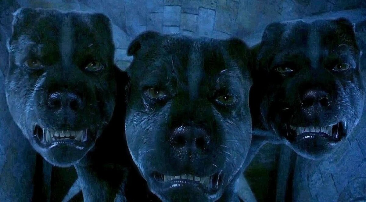 Кадр из к/ф "Гарри Поттер и философский камень"