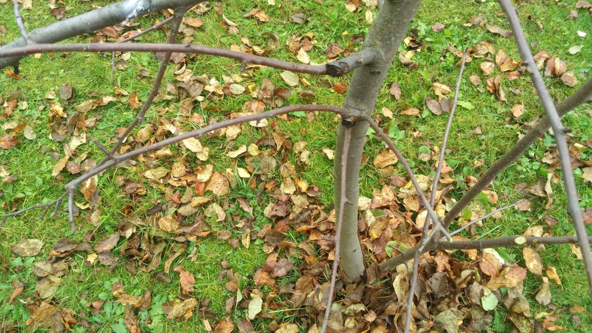 фото мои личные