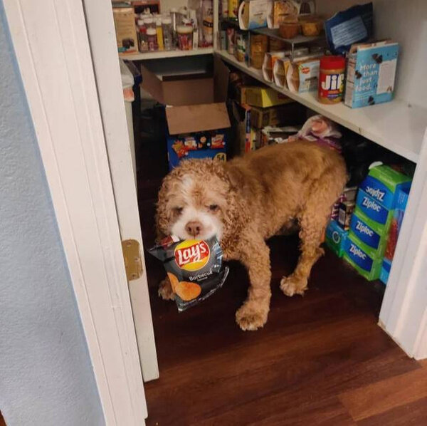 Фото © Reddit / surfrock66