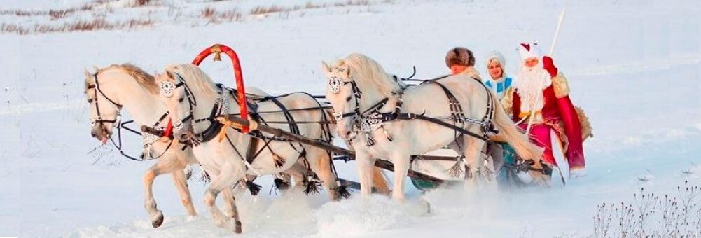 тройка лошадей. дед мороз и снегурочка на тройке лошадей. зимние сани. великий устюг и тройка лошадей. дед мороз и снегурочка на тройке лошадей.