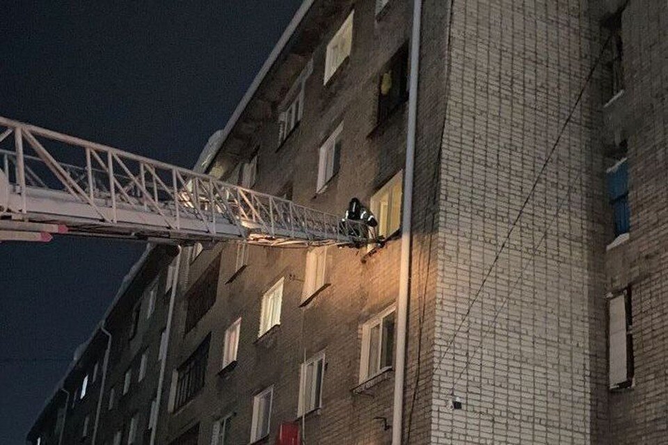     Спасатели применили автолестницу  пресс-службы ГУ МЧС по Алтайскому краю