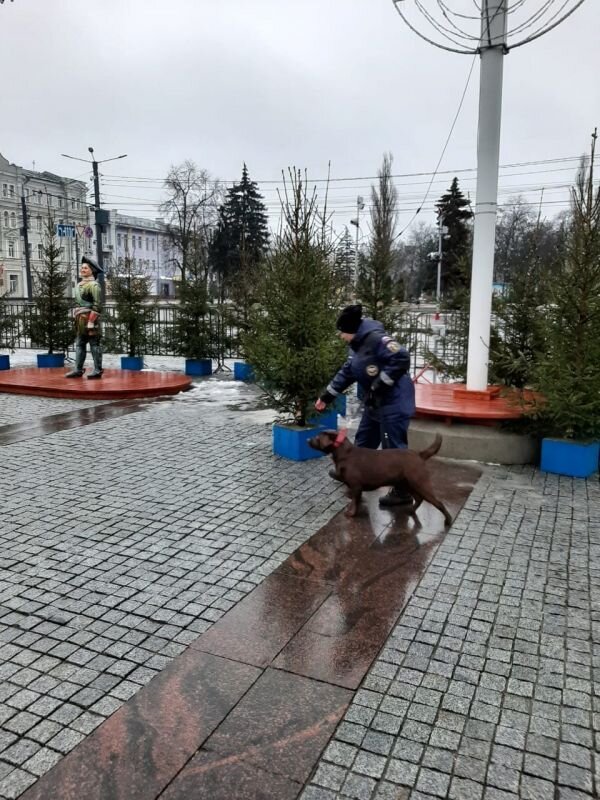    Проведение кинологического исследования 1 января. Фото: пресс-служба мэрии