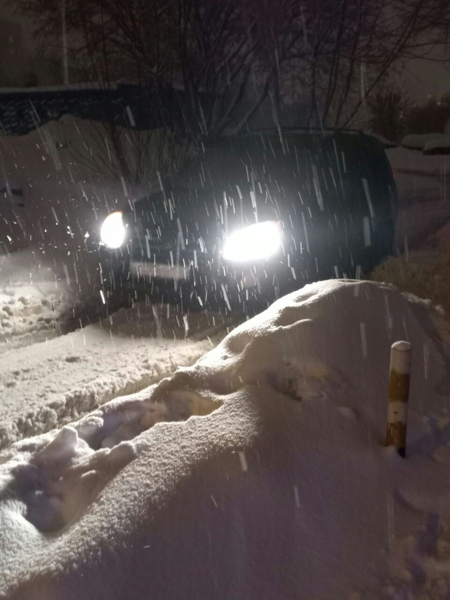 Фото автора.