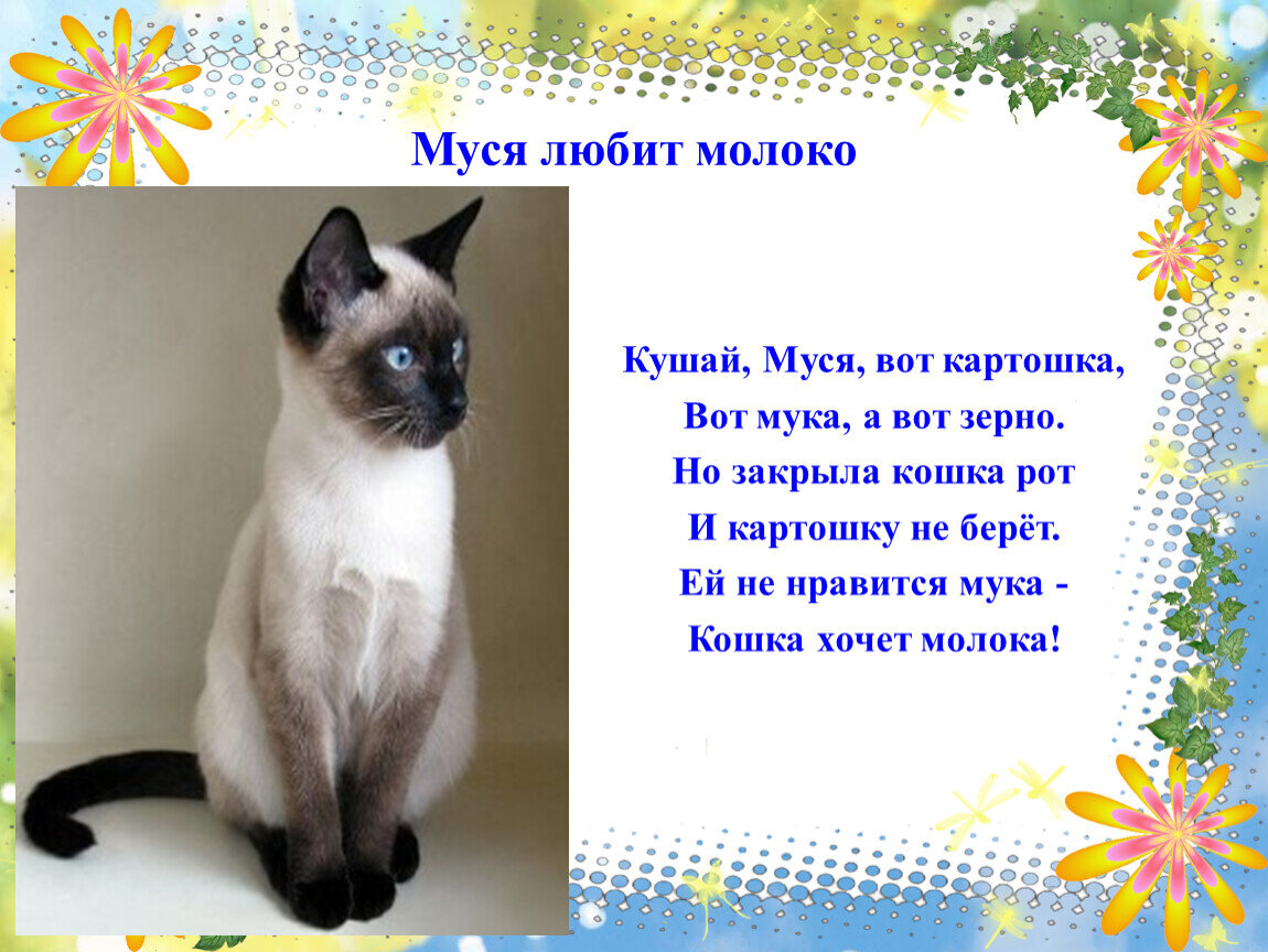 Еда и практика