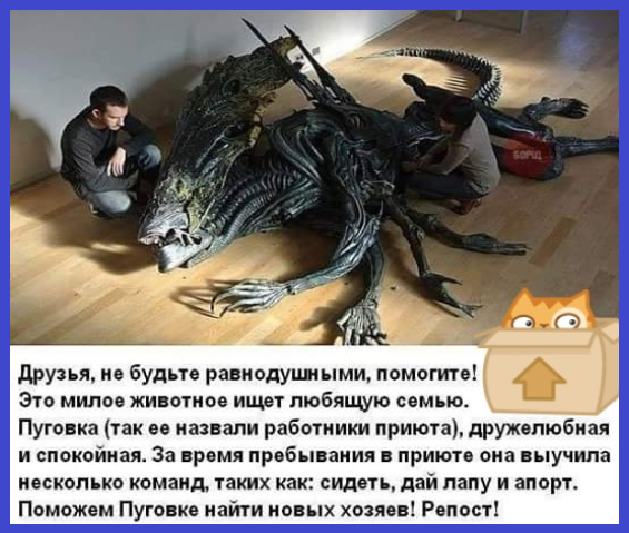 Просто 13 Анекдотов и приколов в Пятницу 13-го