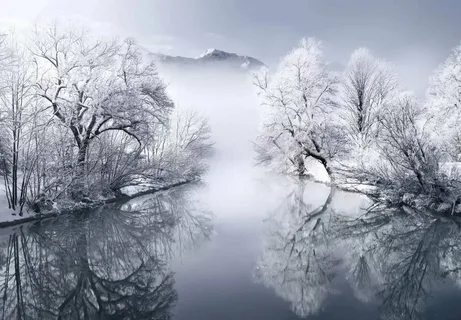 Яндекс.Картинки