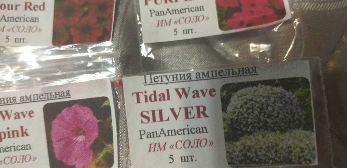 Фото автора.