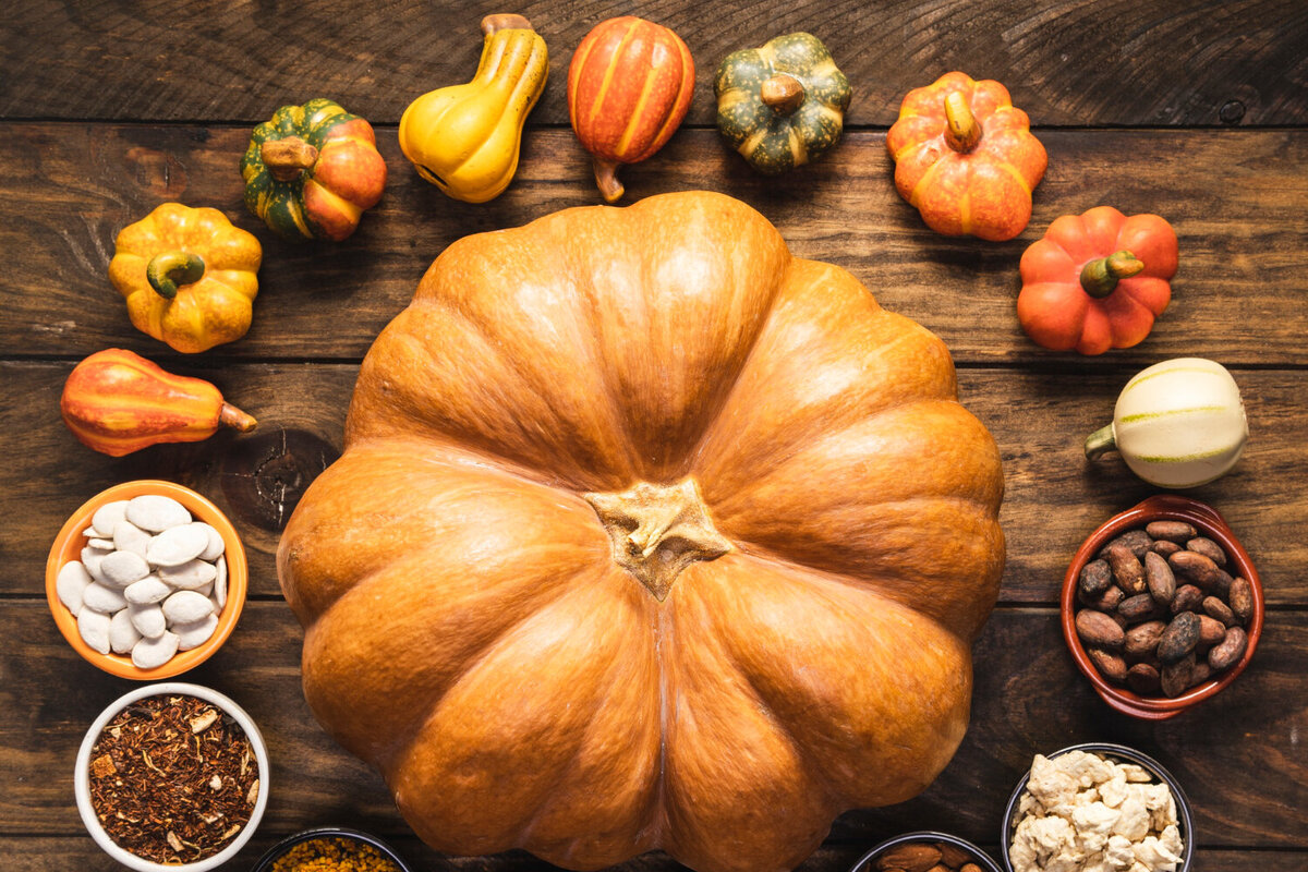     Как вырастить тыкву на даче и дома из семечки: советы эксперта и 10 любопытных фактов