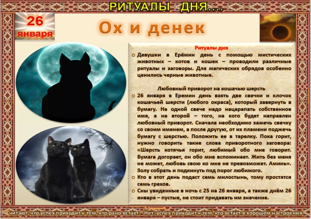 Имя дня кота