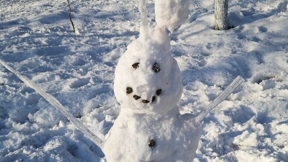     Невесёлый, но всё-таки рекорд установлен сегодня во Владивостоке. Впервые за сто лет термометры 24 января в краевом центре показали минус 27,6 градуса Цельсия.
