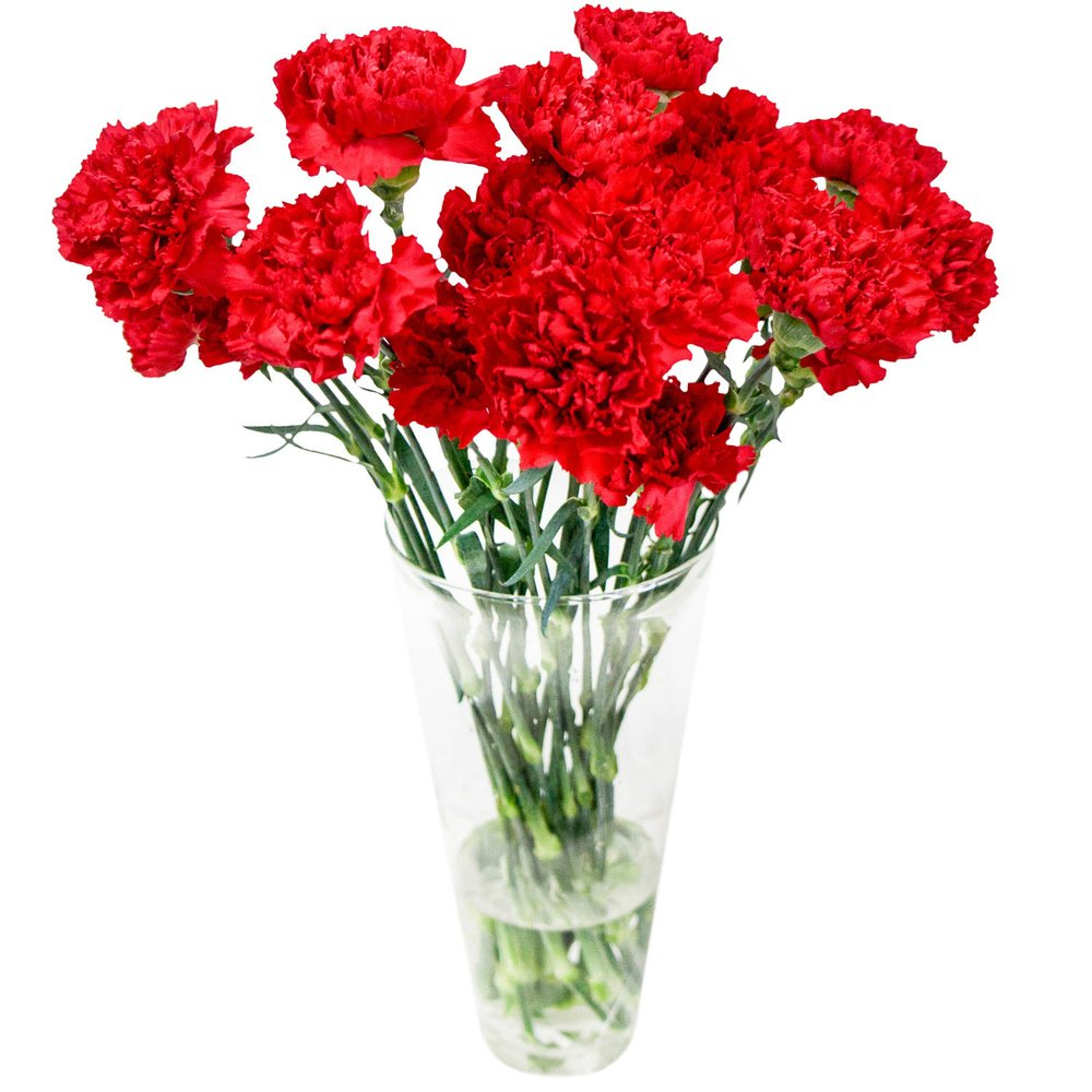 https://www.rosemarkt.ru/bouquet/krasnye-gvozdiki/
