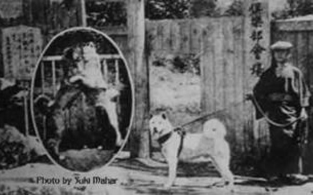 Акита 1931 год