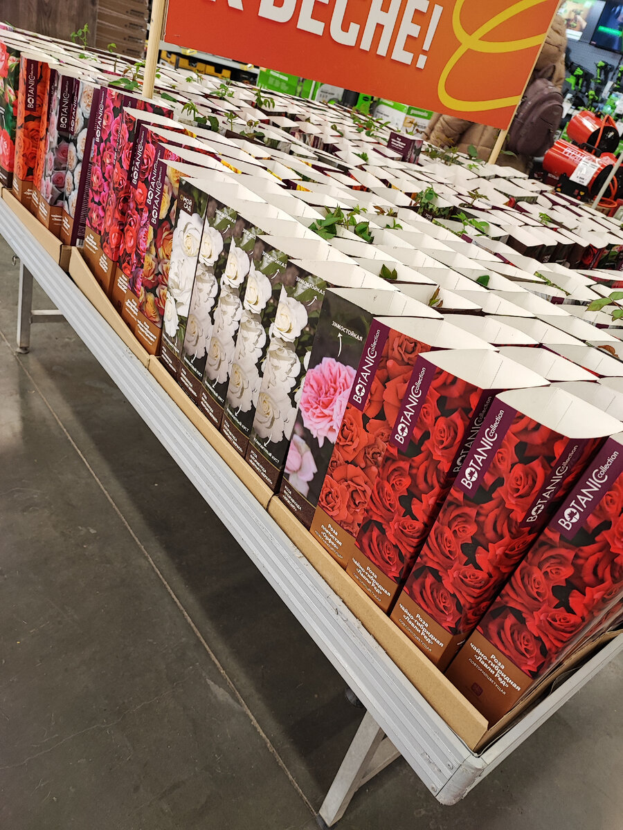 Вожделенные коробочки