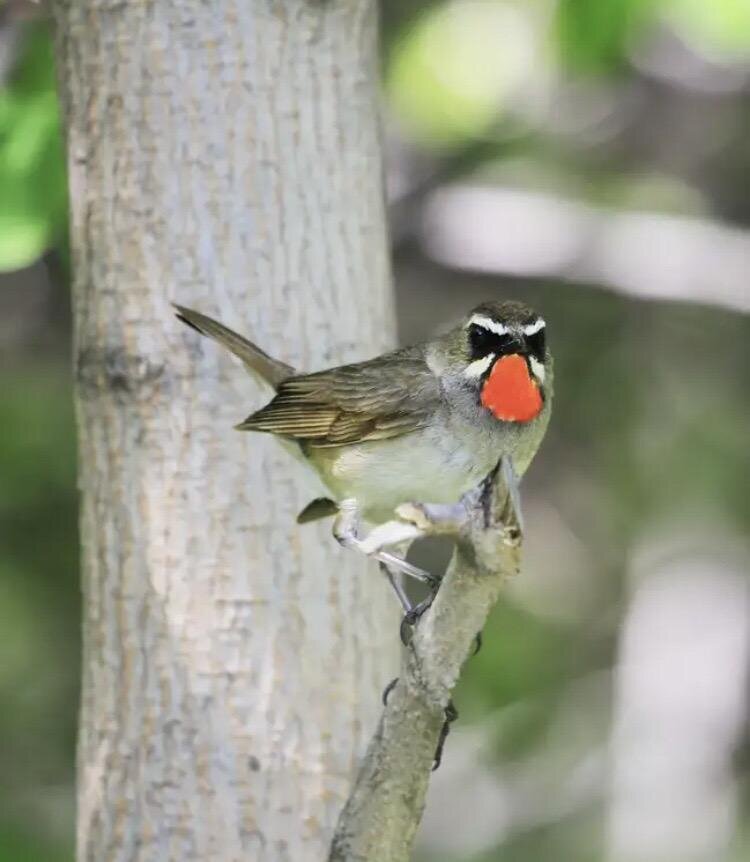 Фото из открытых источников.