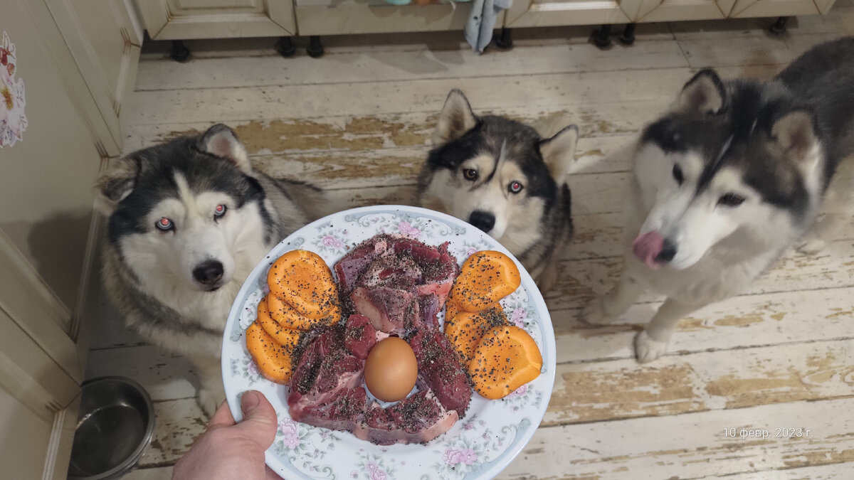 часть рациона собаки диабетика