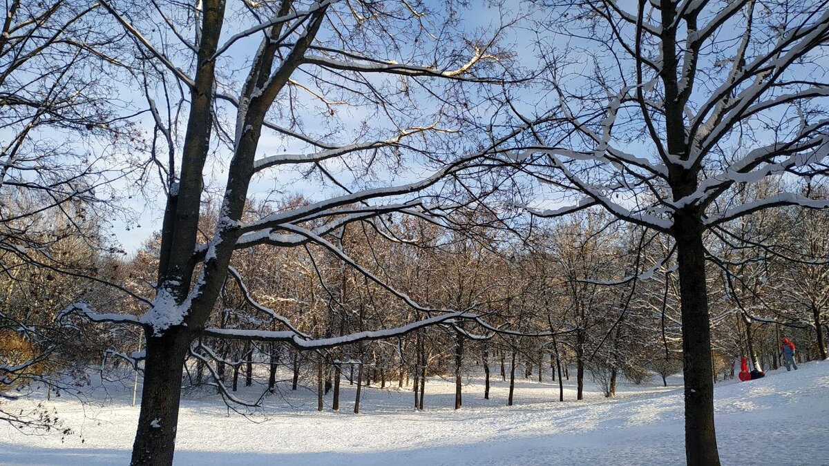 фото автора канала