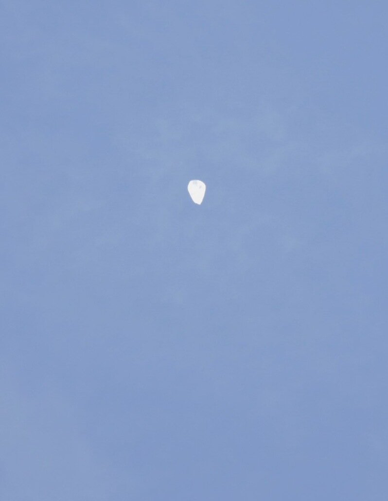  (фото взято с сайта https://stratocat.com.ar/fichas-e/2022/FSU-20220922.htm)