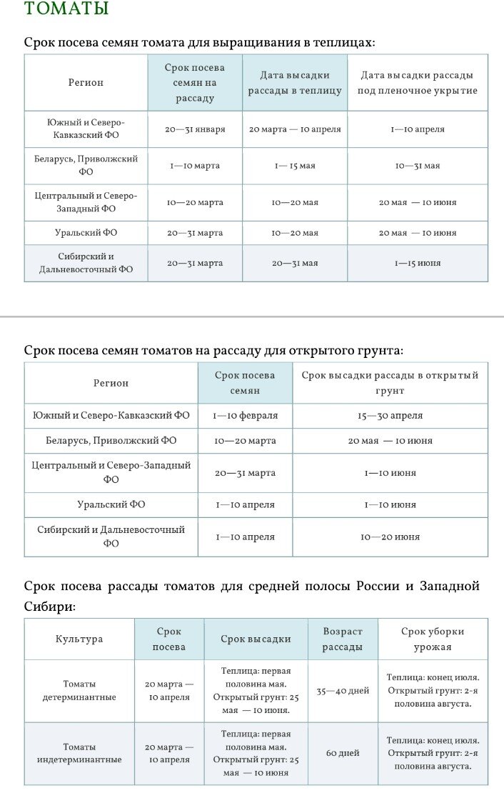 Сроки посадки томатов 