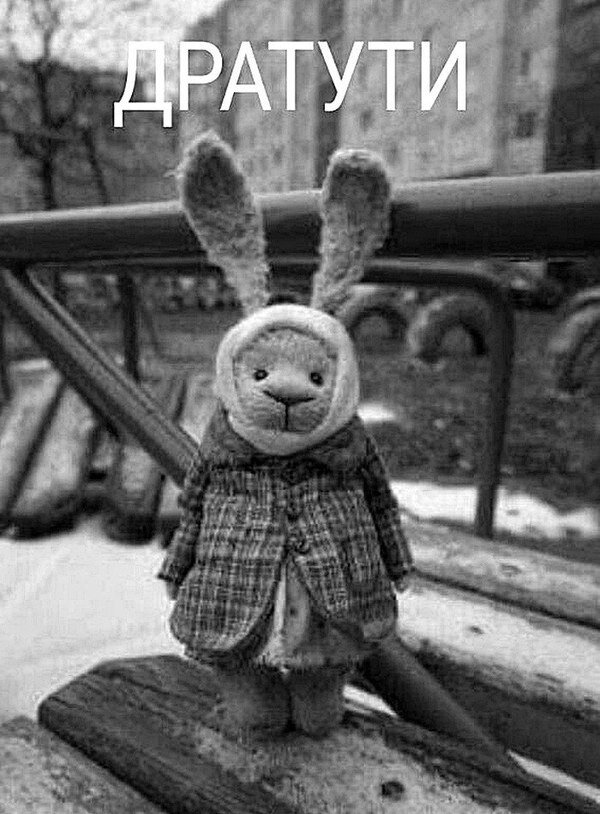 Фото из открытых источников