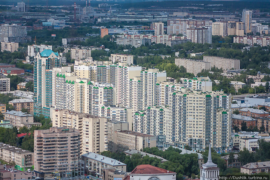 Фото: из интернет-ресурса