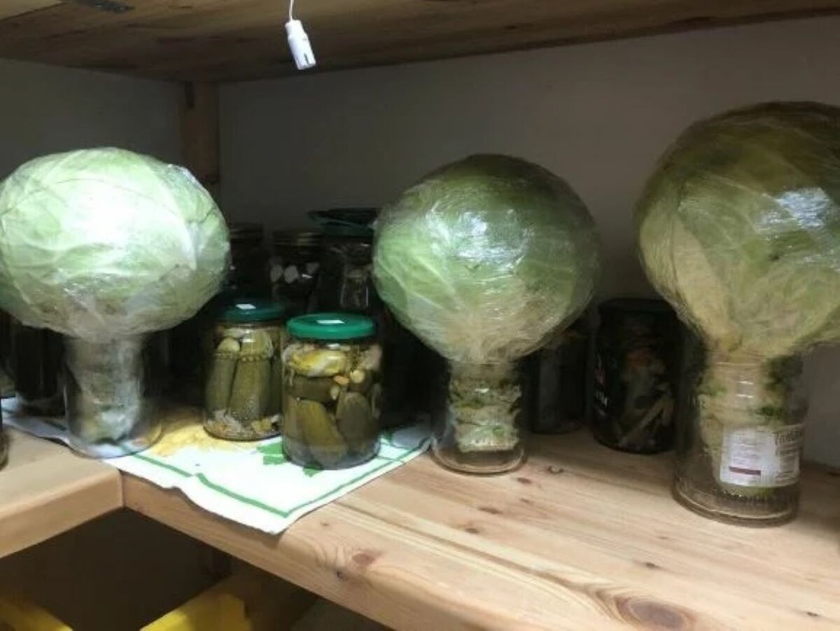 Храню капусту в банках 