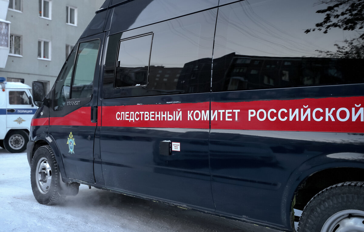 Донат Сорокин/ТАСС, архив