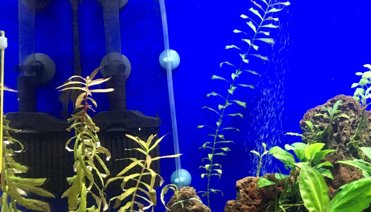 Листаем фото --->