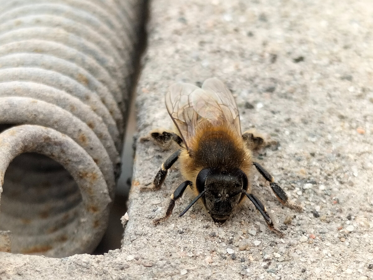 Кадры из жизни