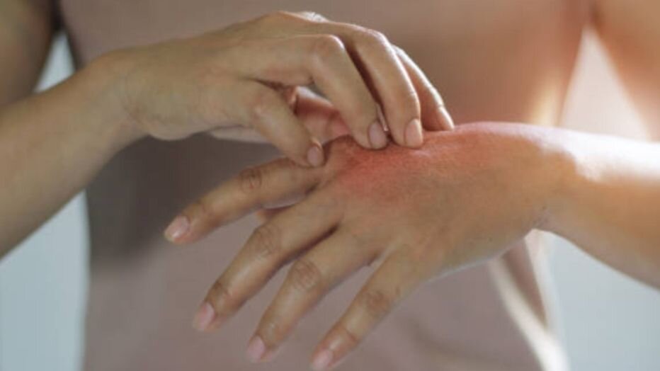 источник https://unsplash.com/