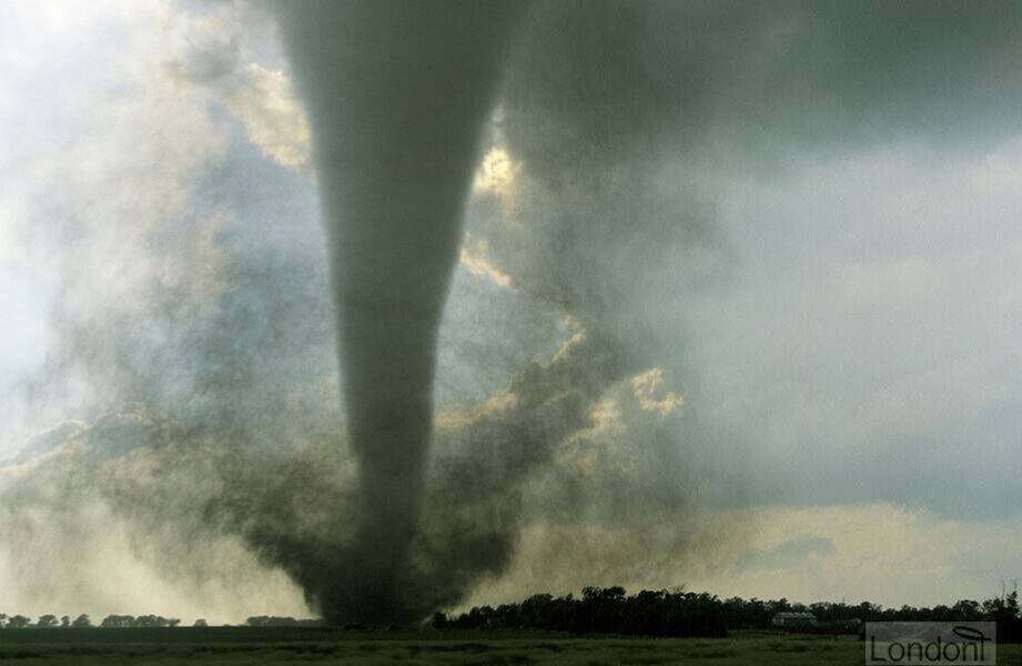    Фото: londoni.co