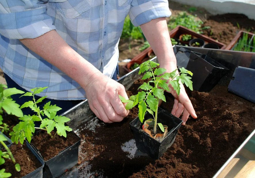 Фотография взята из источника fedoskinolife.ru