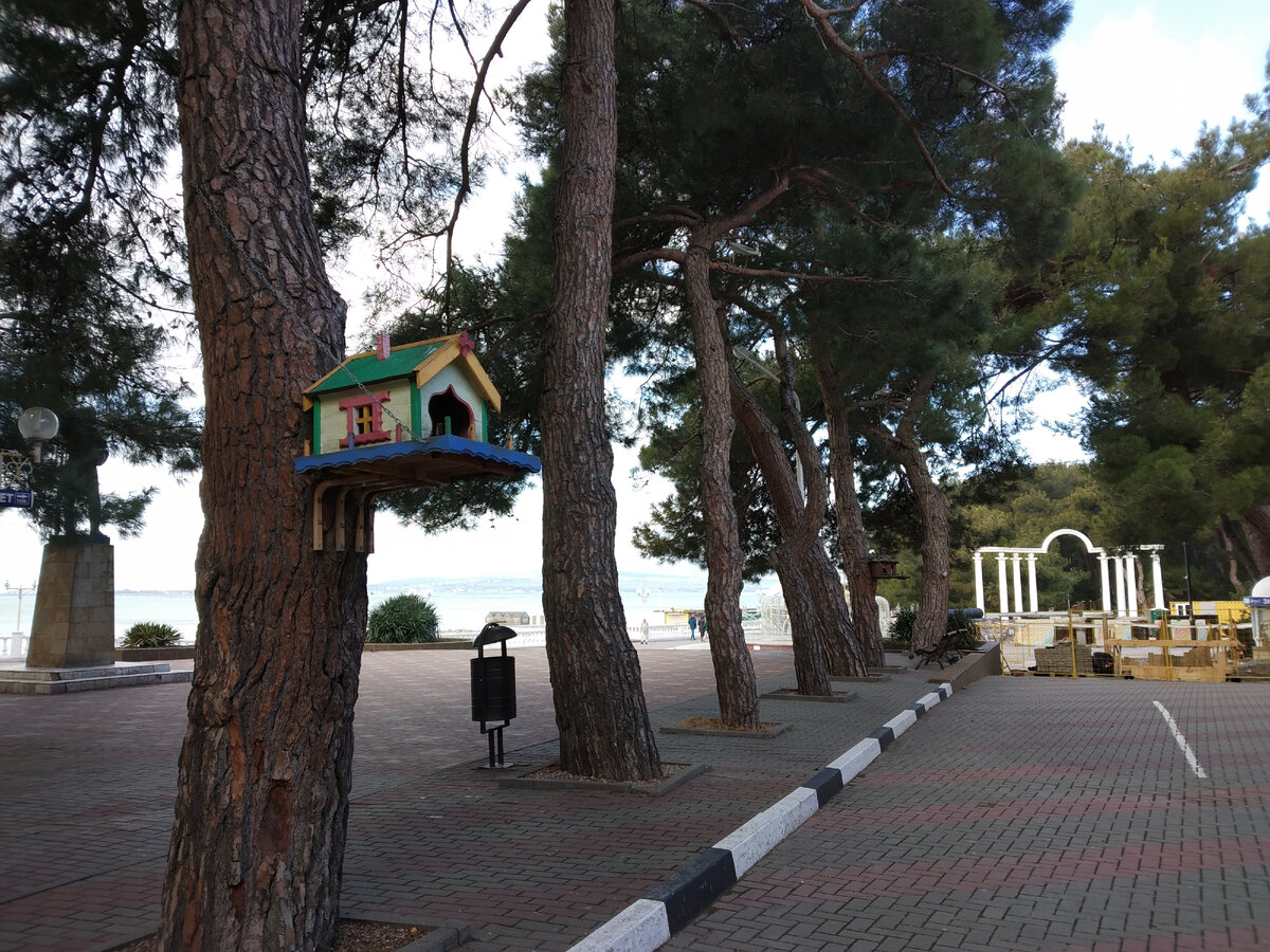 Фото автора публикации