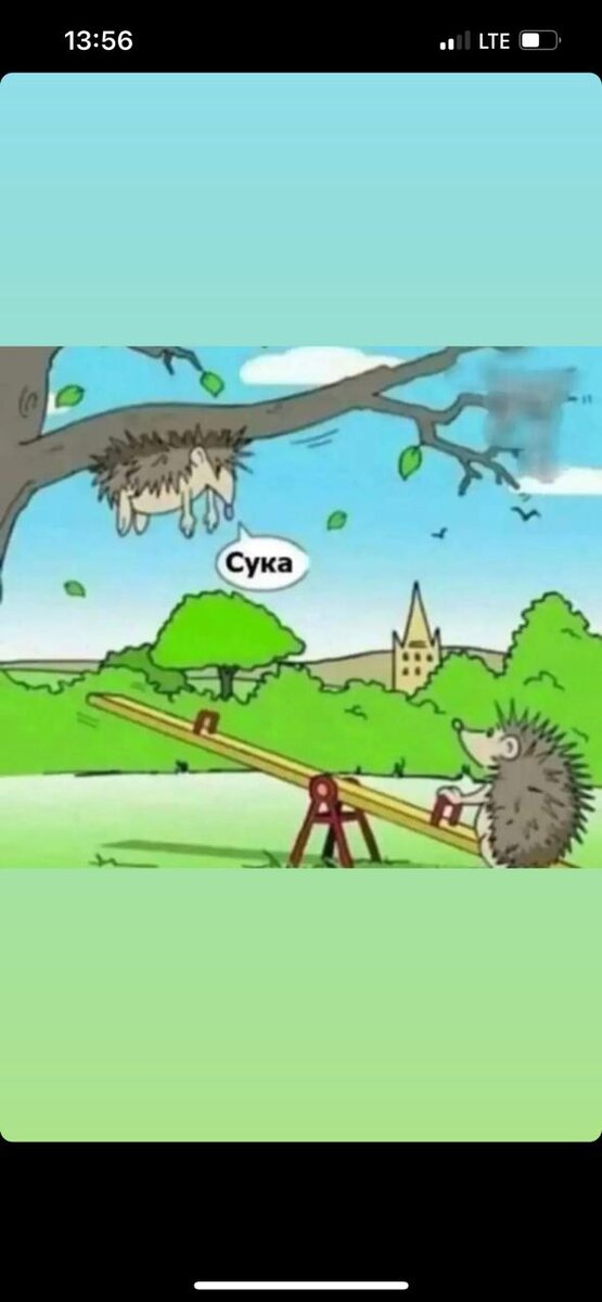 Эротические качели 