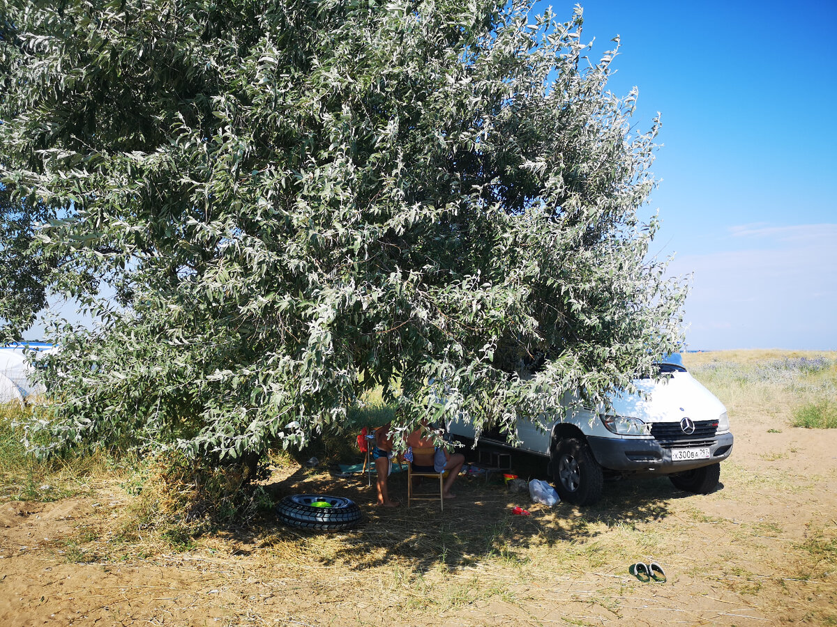 Дальше мы поехали в Крым. Это организованный кемпинг в Феодосии. Нам удалось встать в такое уютное местечко, но долго мы там не простояли, потому что близость  дороги портила всю романтику.