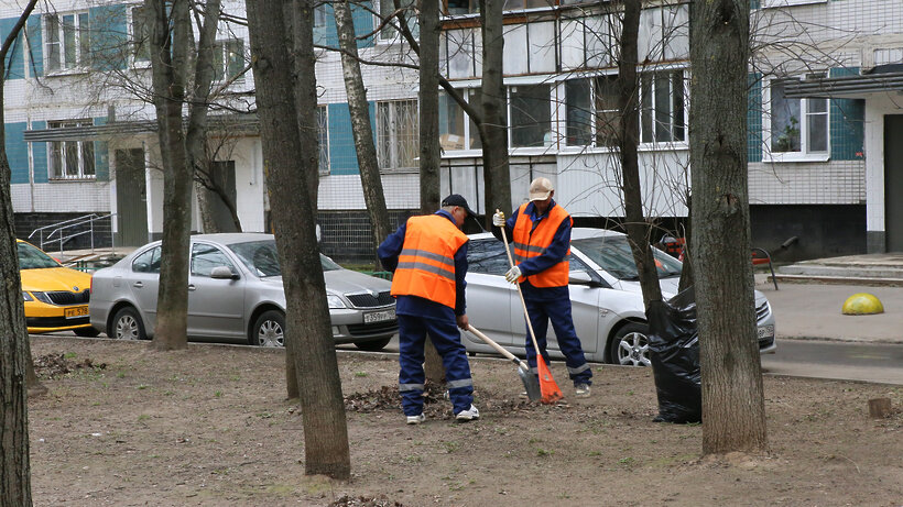    Химки © Пресс-служба администрации г.о. Химки