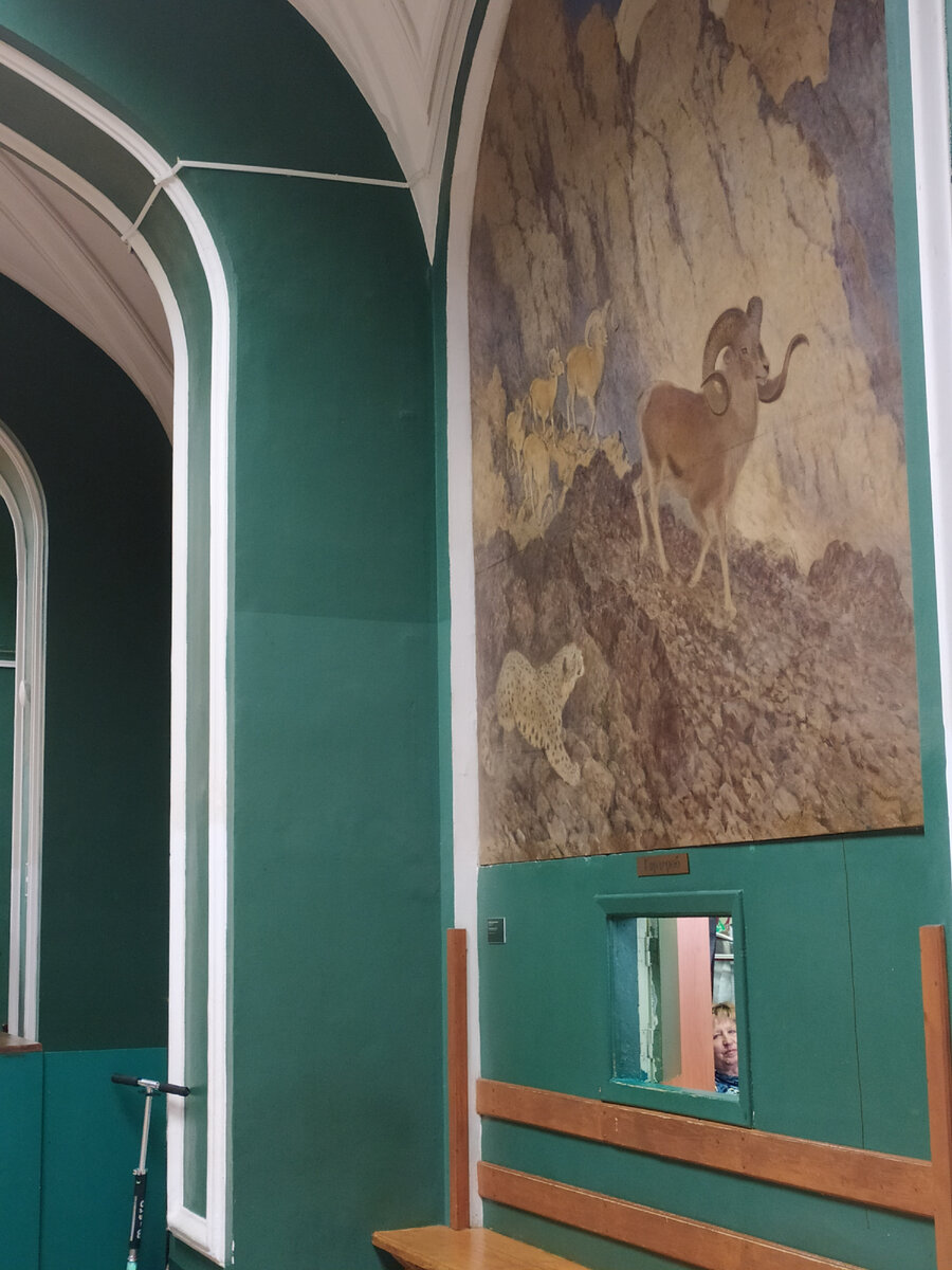 Зоологический музей (фото автора)