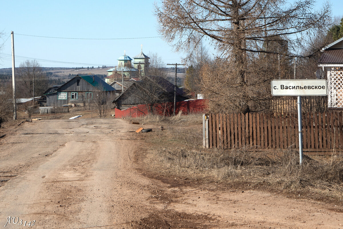 В село Васильевское за сыром Голландским... | AU3142 | Дзен