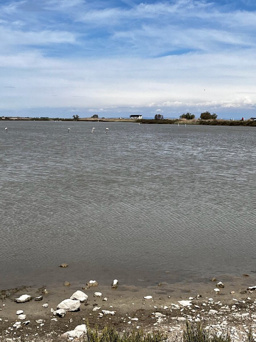 Камарг, Франция