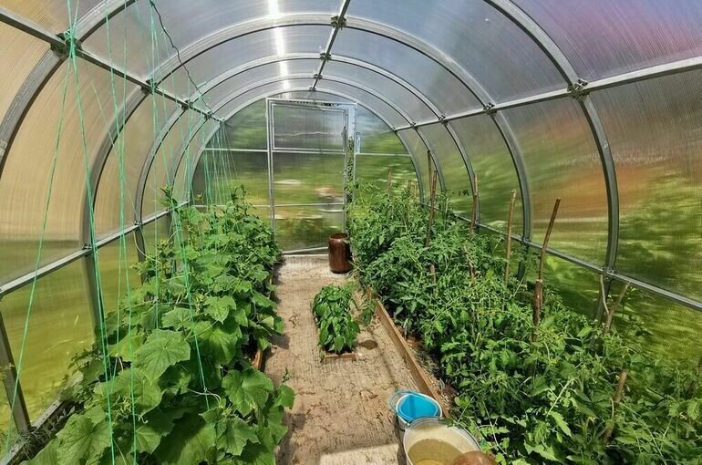   Игорь Самохвалов/ПГ