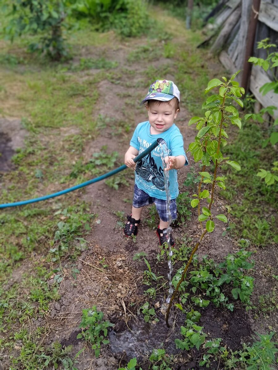 Сам еще гремит соплями, но по хозяйству все равно помогает. 