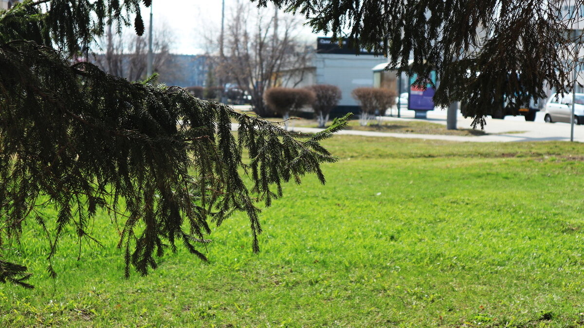     Увековечить имя митрополита предложил местный житель.