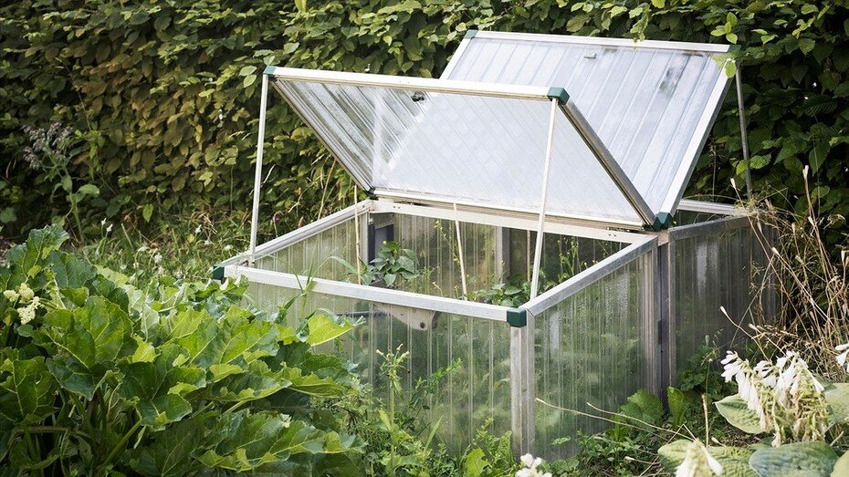 ShutterStock/Fotodom.ru