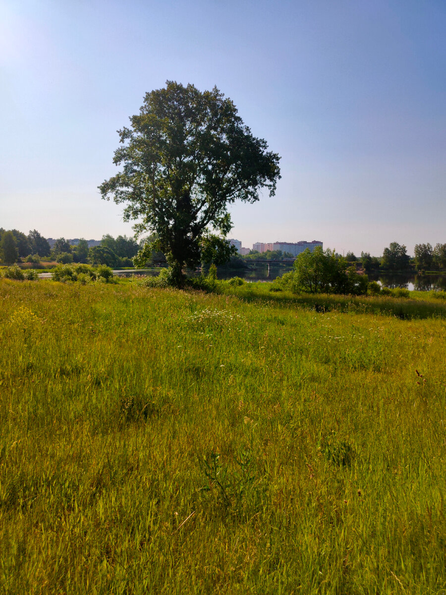 Берег Донховки. Почти центр города.