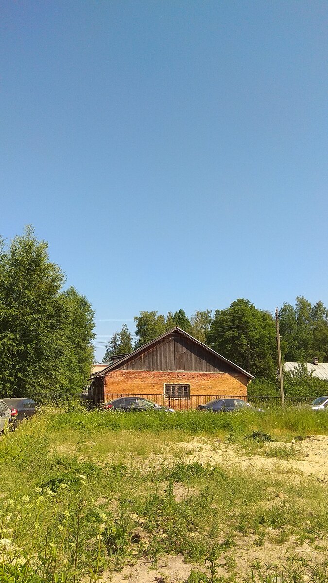 Ленинградская область. Новое Девяткино. Жизнь в Девяткино. Фотоотчёт |  Питер сейчас | Дзен