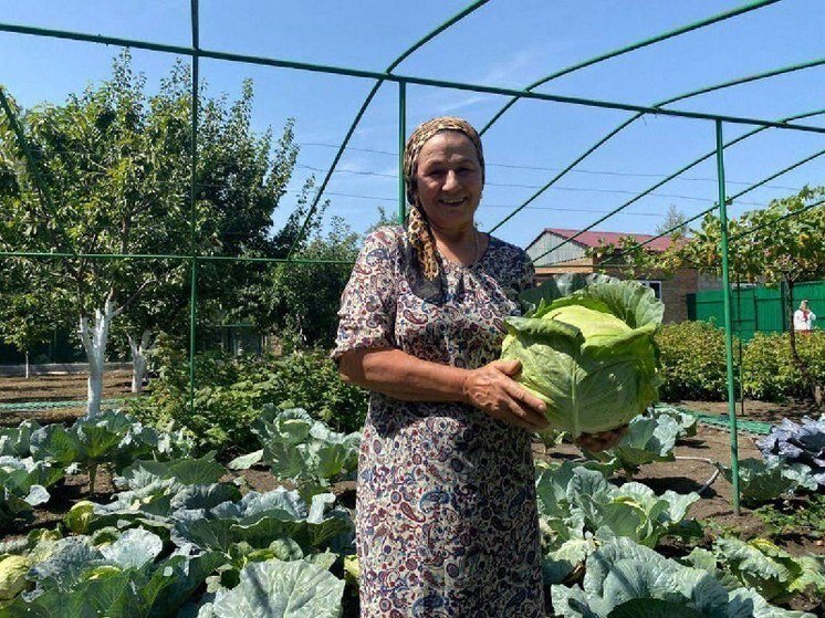 Национального проекта образование с января 2022 года